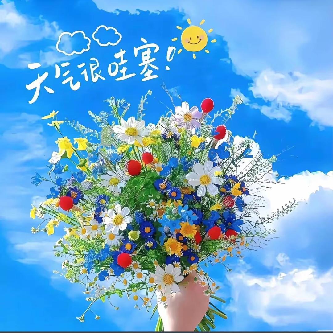 🌸李木子🥰