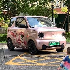 养一小只熊猫mini