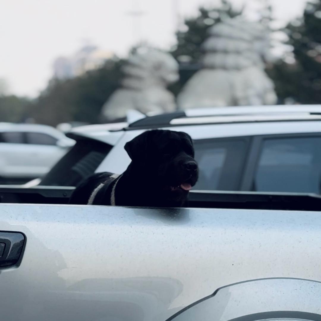 大胖狗和马二乖🐻‍❄️