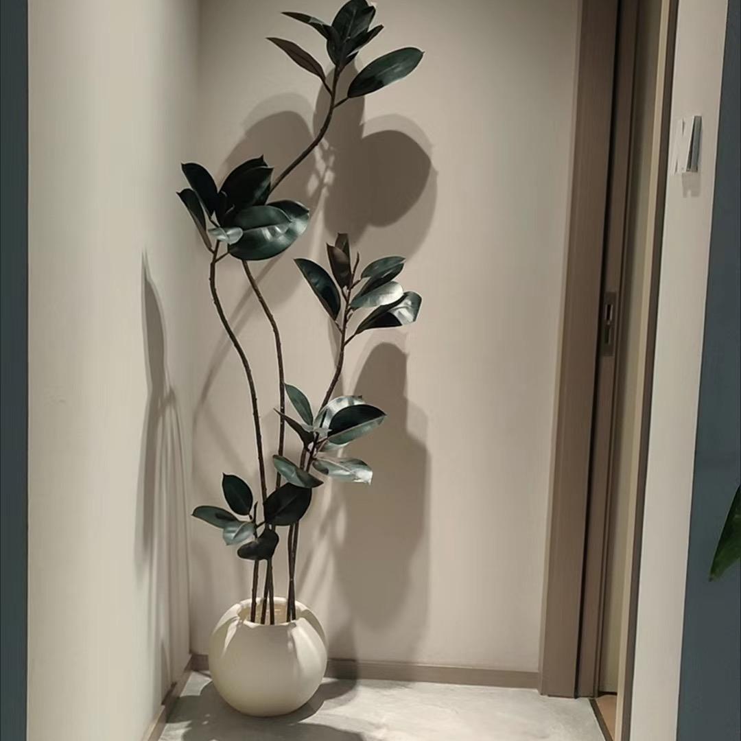 婷婷爱分享