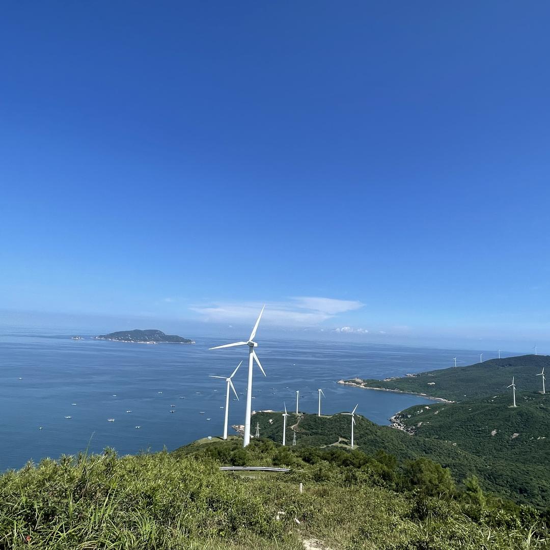 阿宽玩盆景1