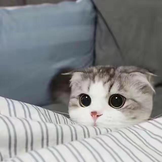 爱唯一纪念馆