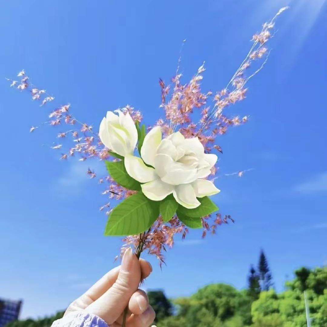 🌈圆气满满🌈