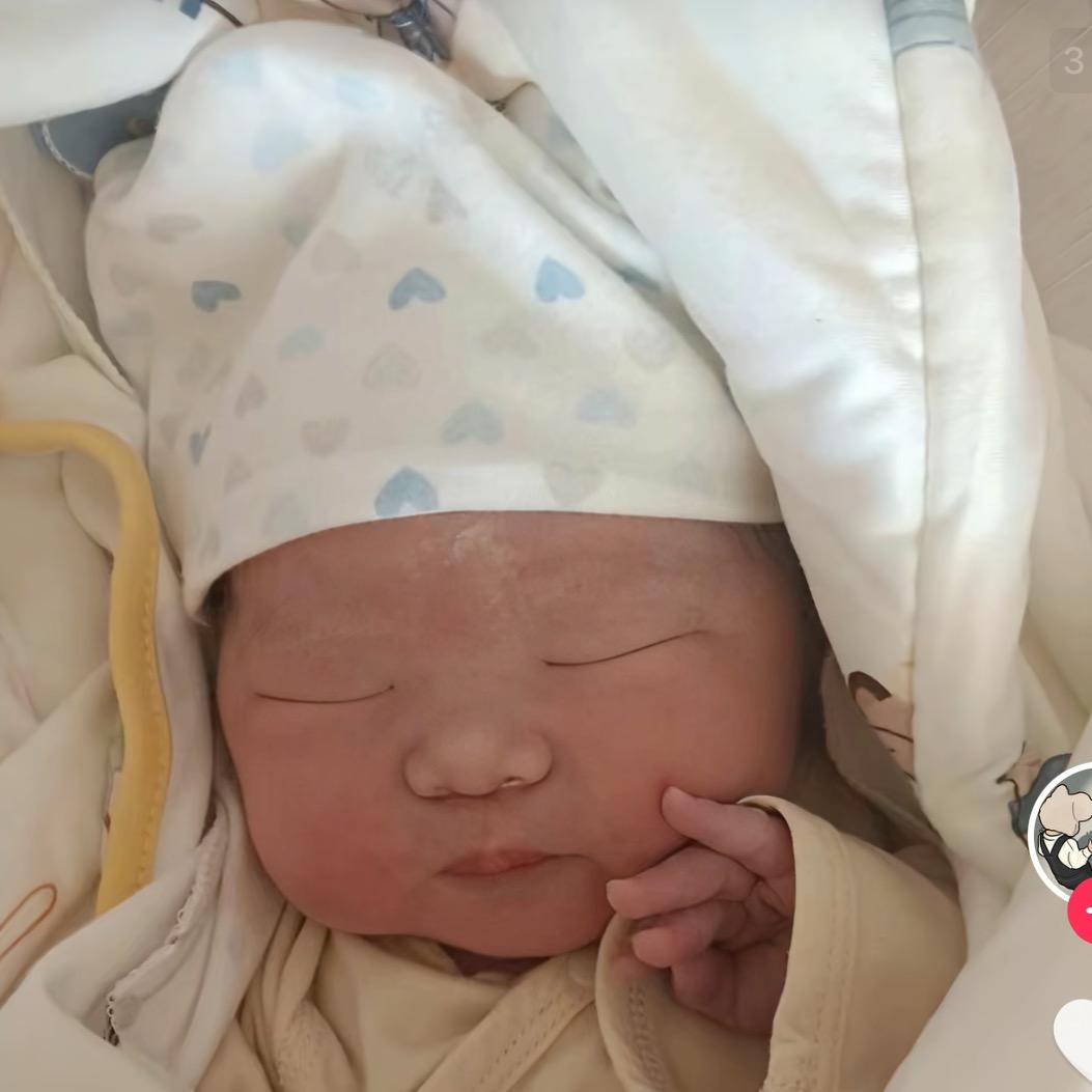 繁花似锦🍃🍃