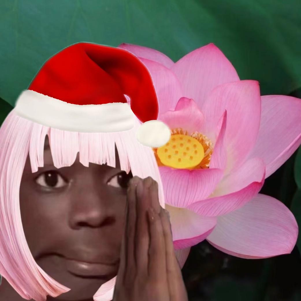 XX、