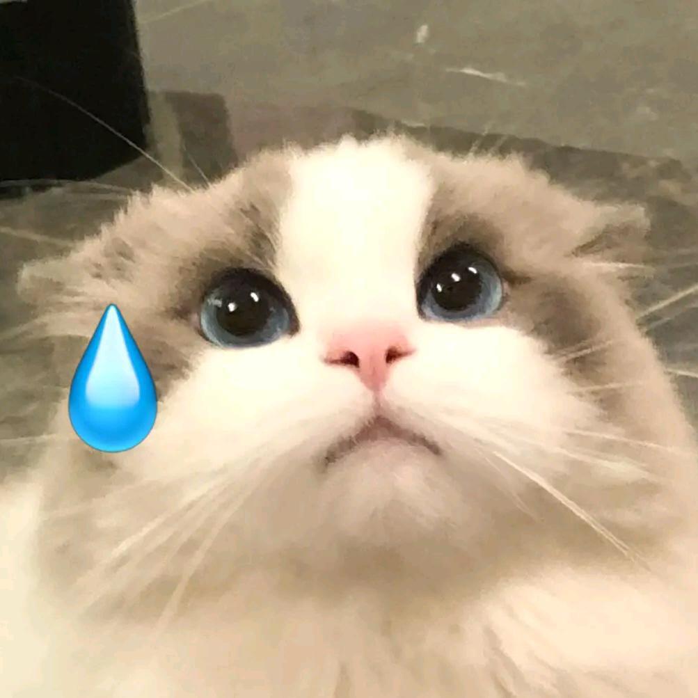 辣味小熊🧸