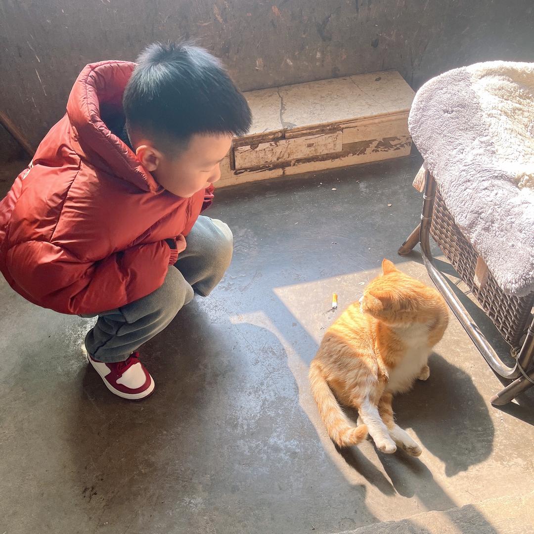 辰辰麻麻56