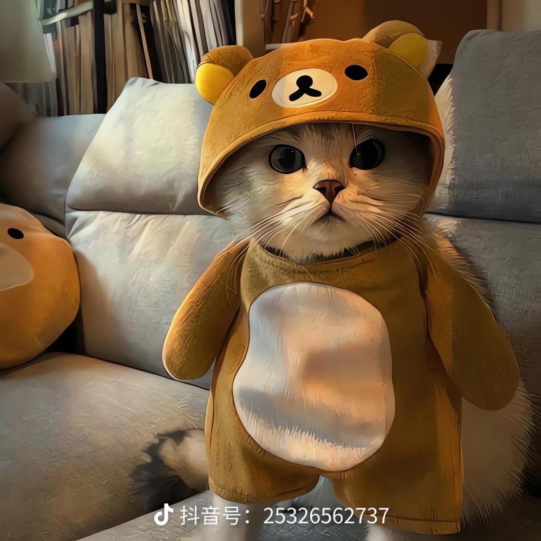 只爱小杨