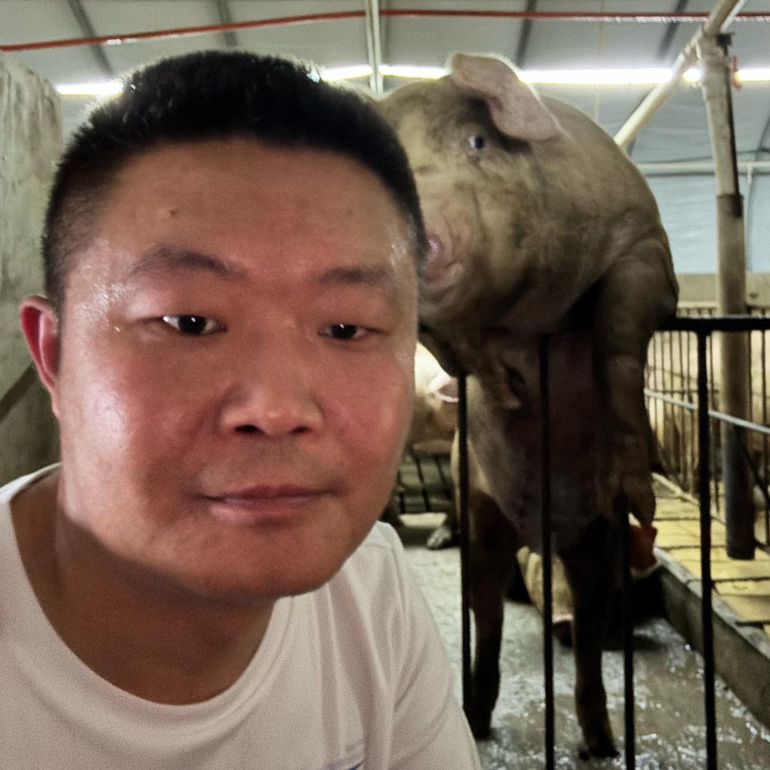 东方知猪
