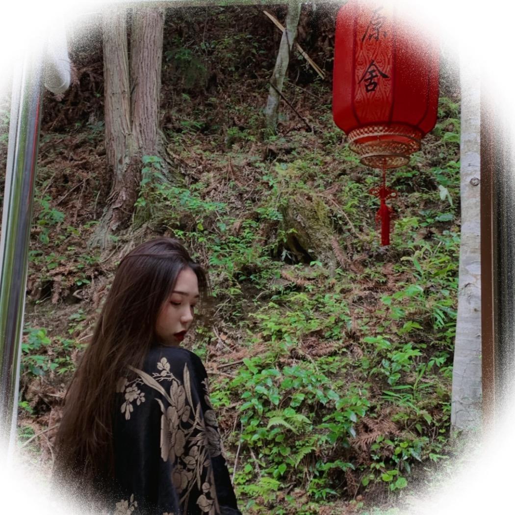 藏巴拉阁（老缎、香云纱）