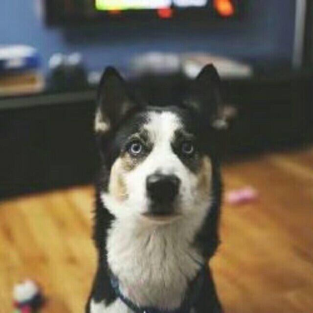 Ｏ