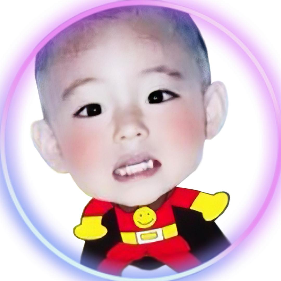 Vantrue（顺恨停滞版