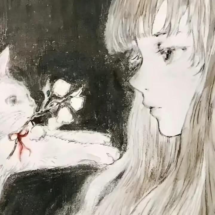 泰格西宝宝的英雄