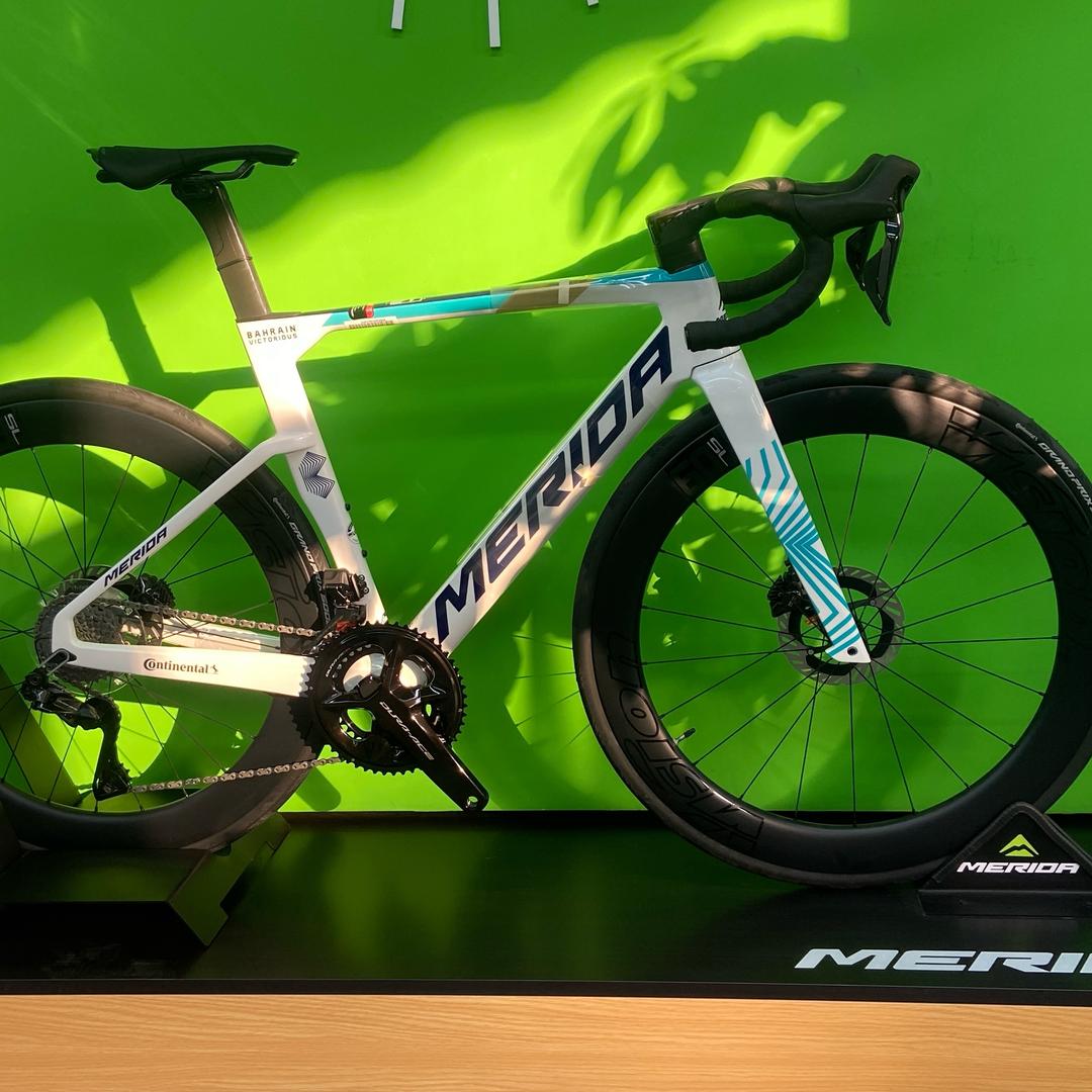 卖美利达的老BOY