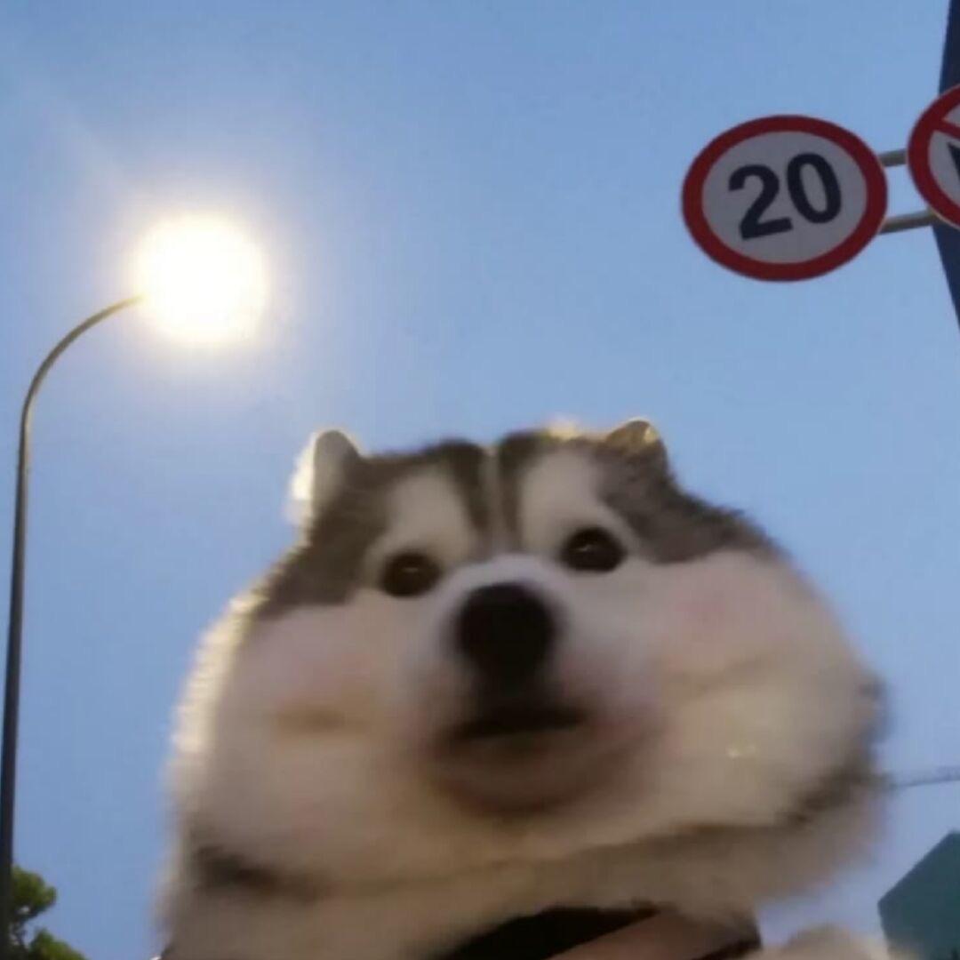 吉少