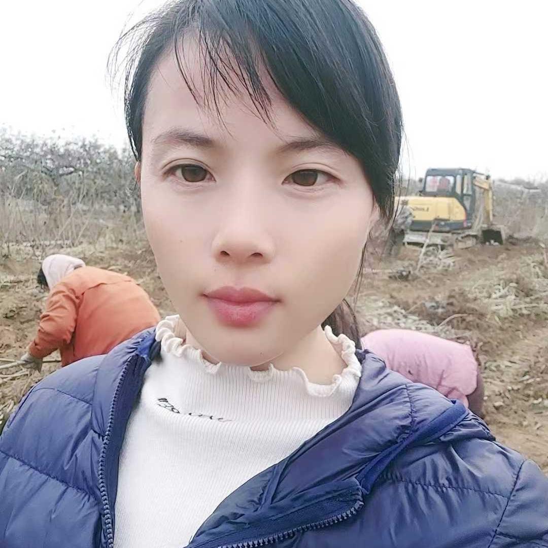 鸿霖园林专营店