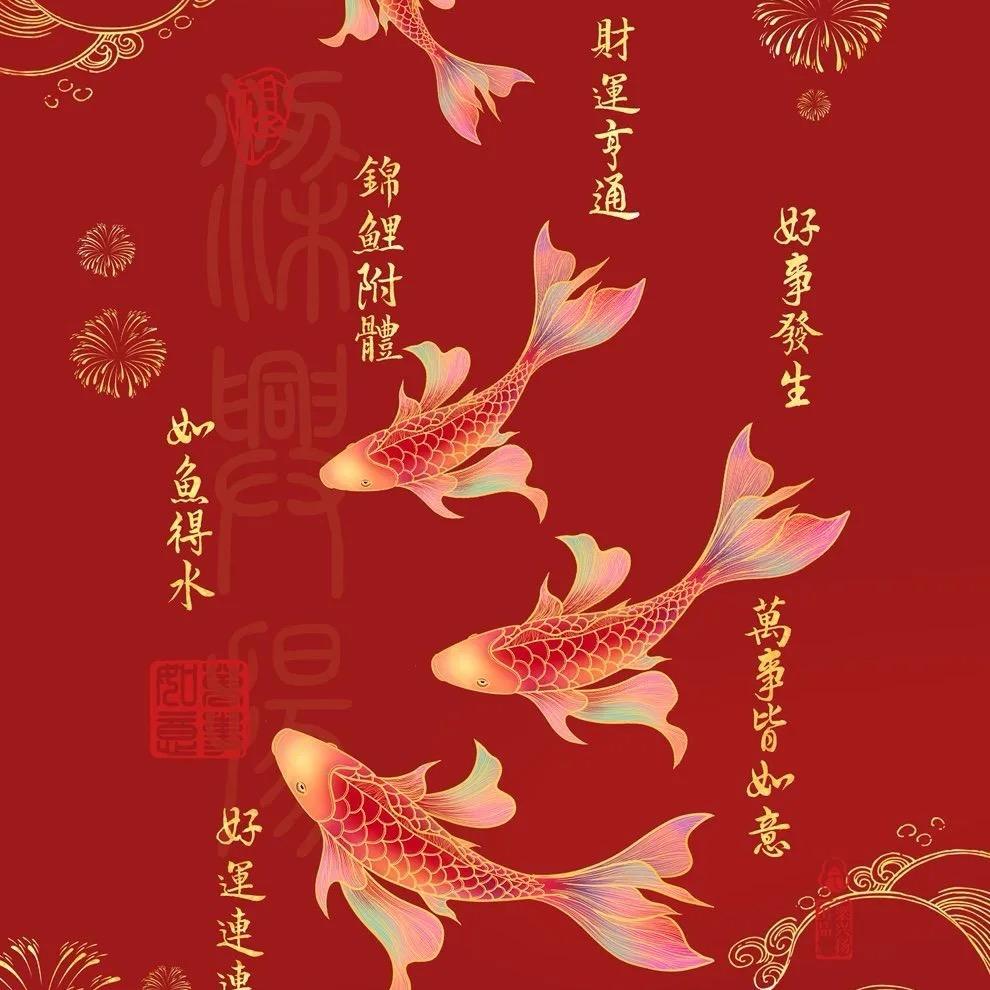 🌈 古楼吃馅饼的椰子蟹