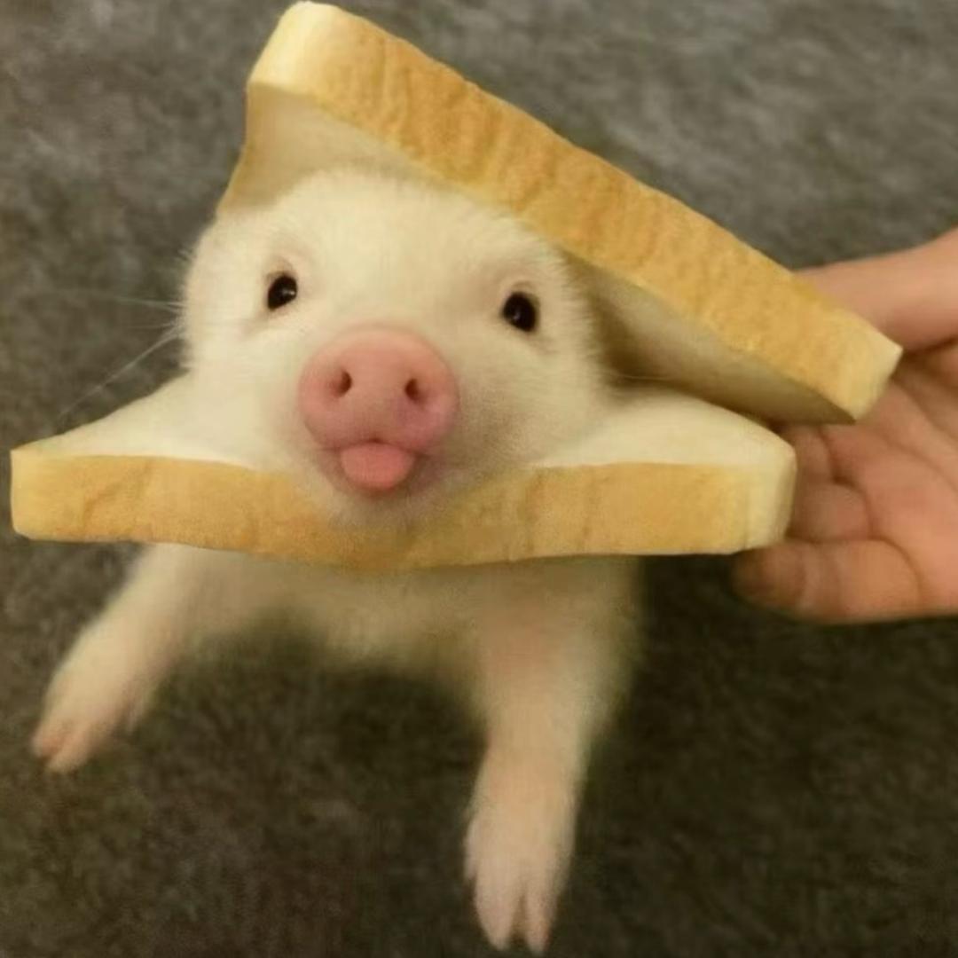 修🐶～