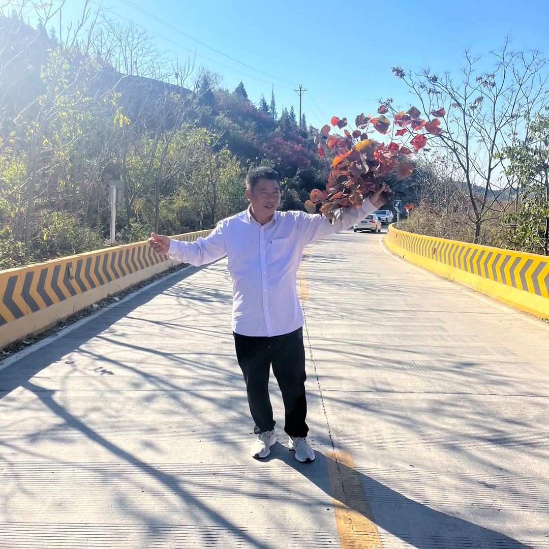 马哥（新疆果园）