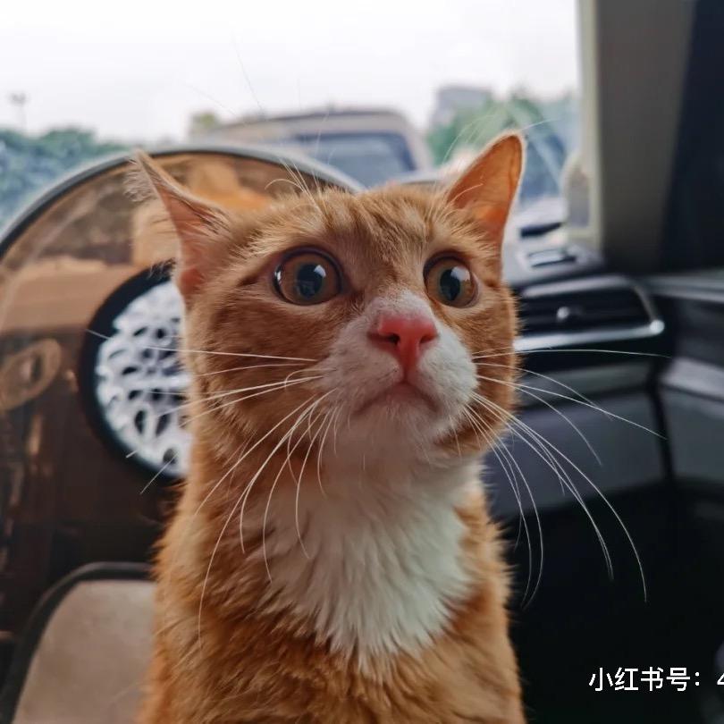 梦溪笔谈