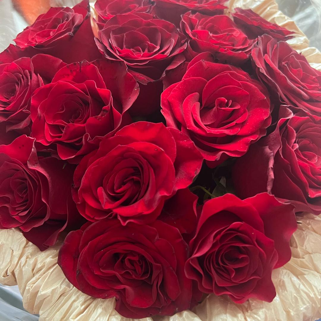 郑合我意💕