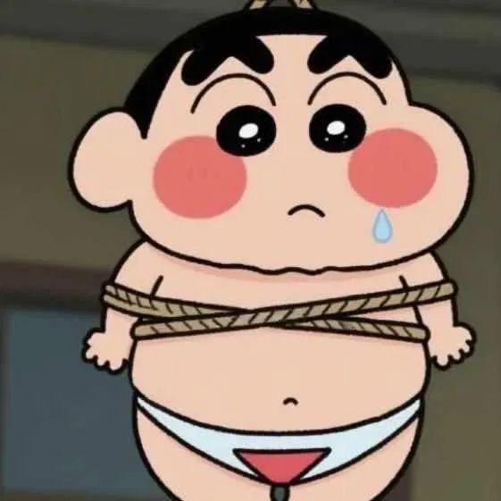 知食分子