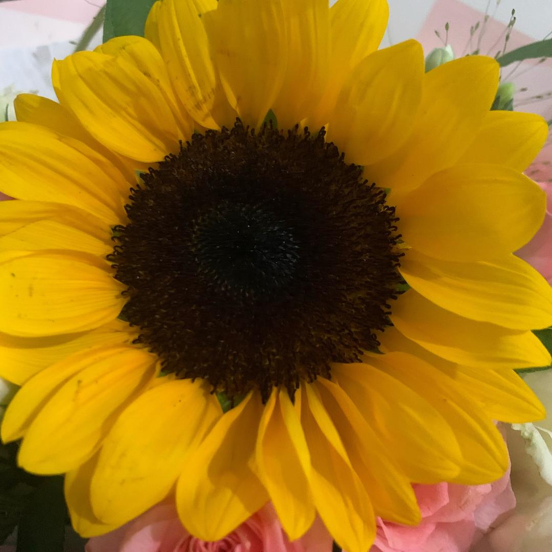 爱跑步🏃🏻‍♀️