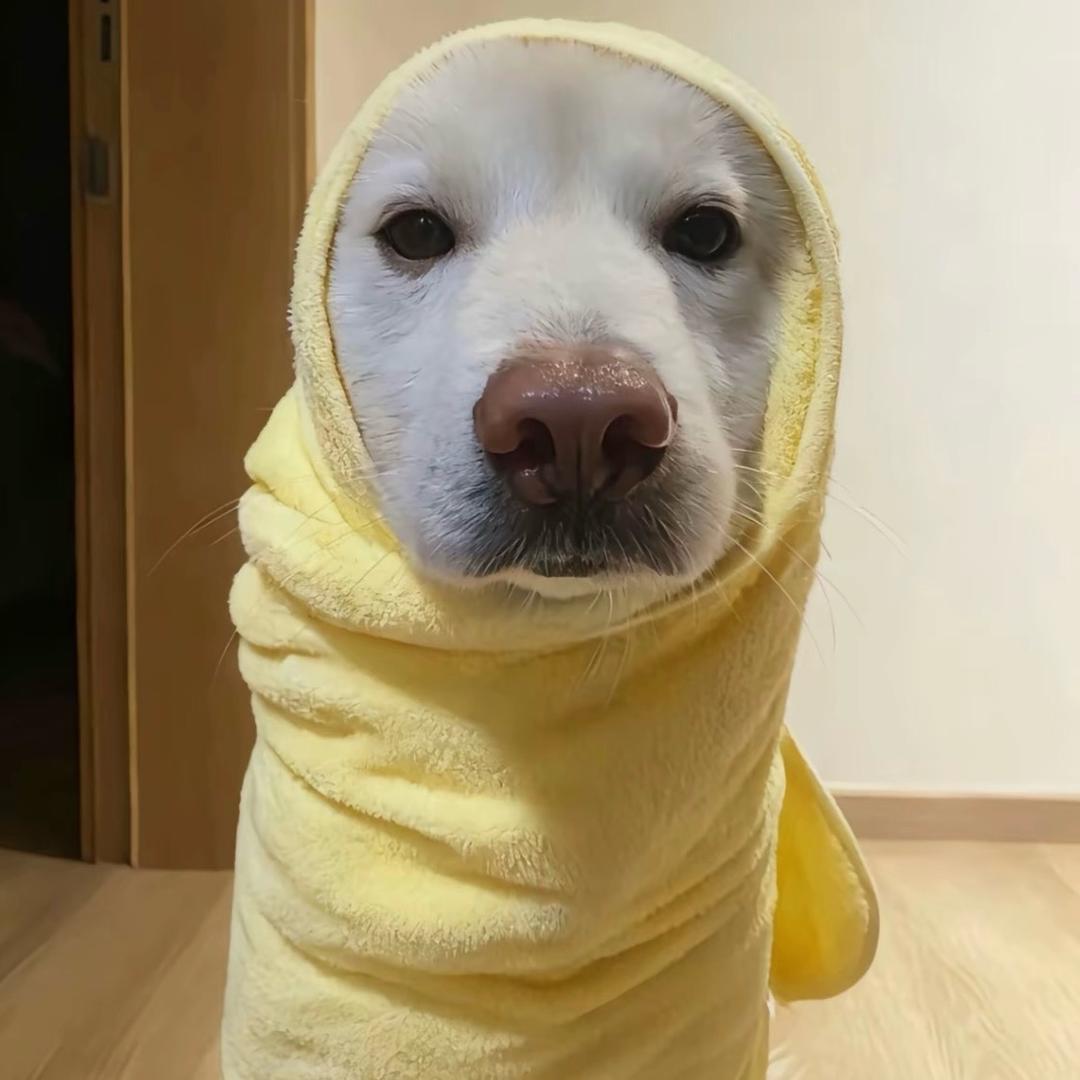 起  个  什  么  名  字  呢