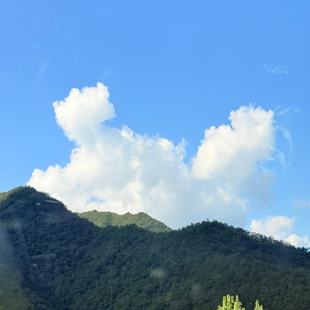 一纹