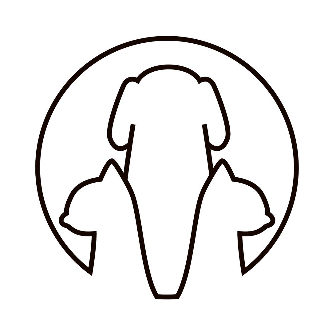 三只宠物萌宠服务