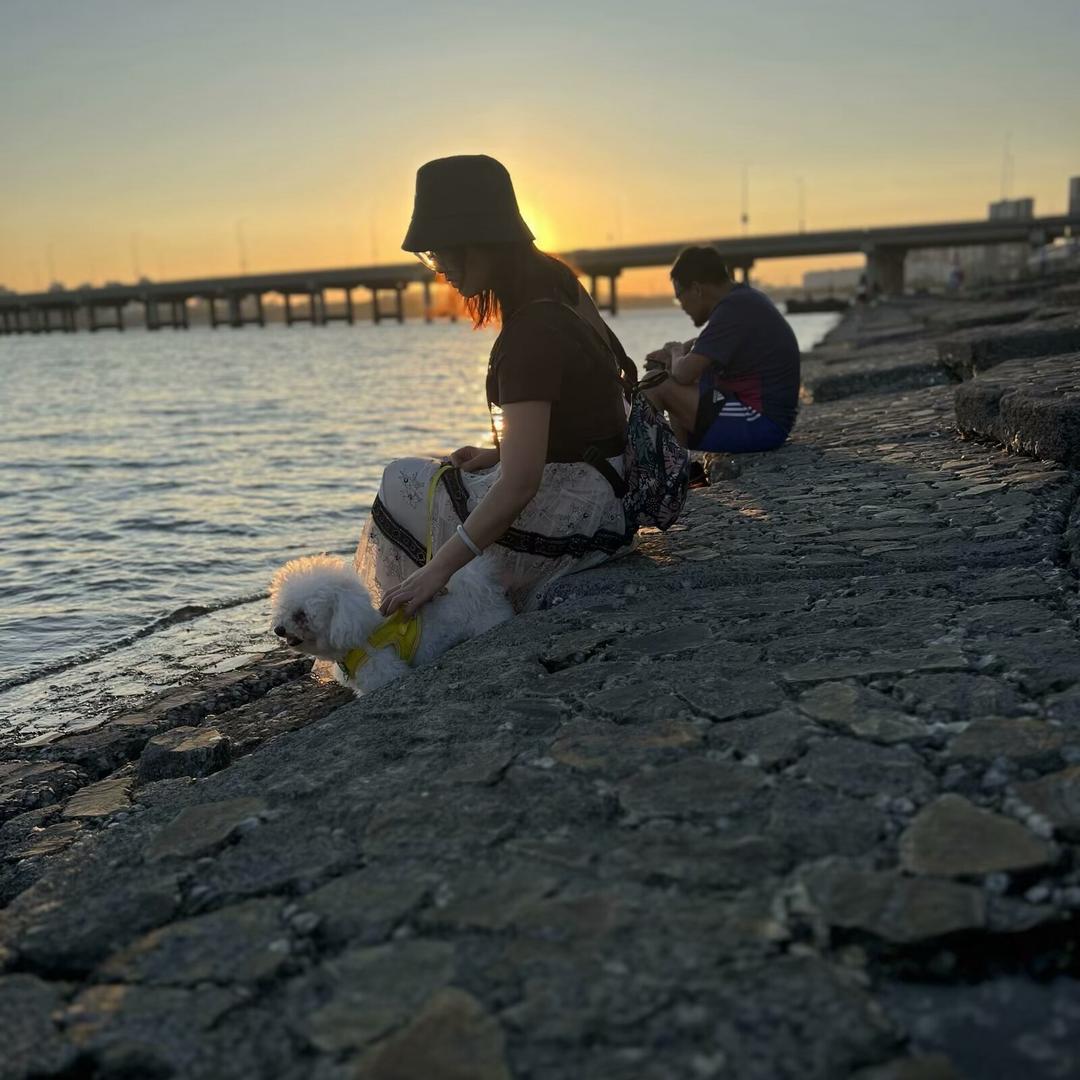 笙歌半夏