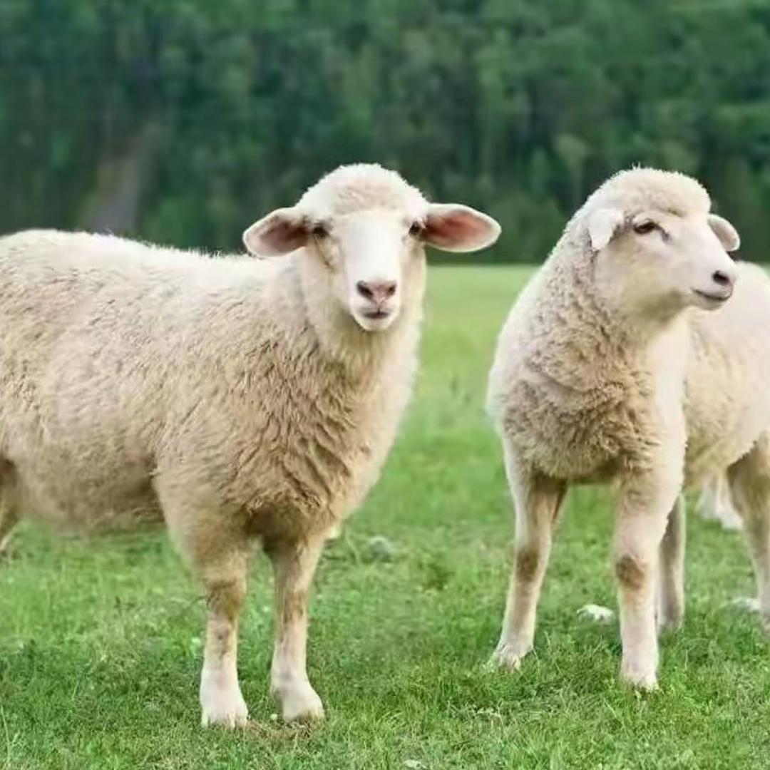 鑫达百货工厂店