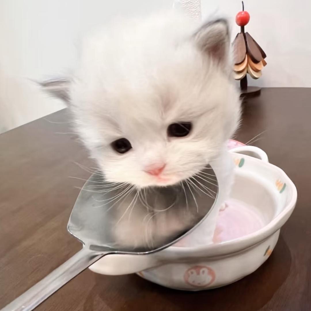 Luuuu.