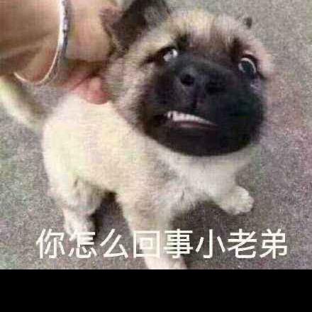嗨 碉毛