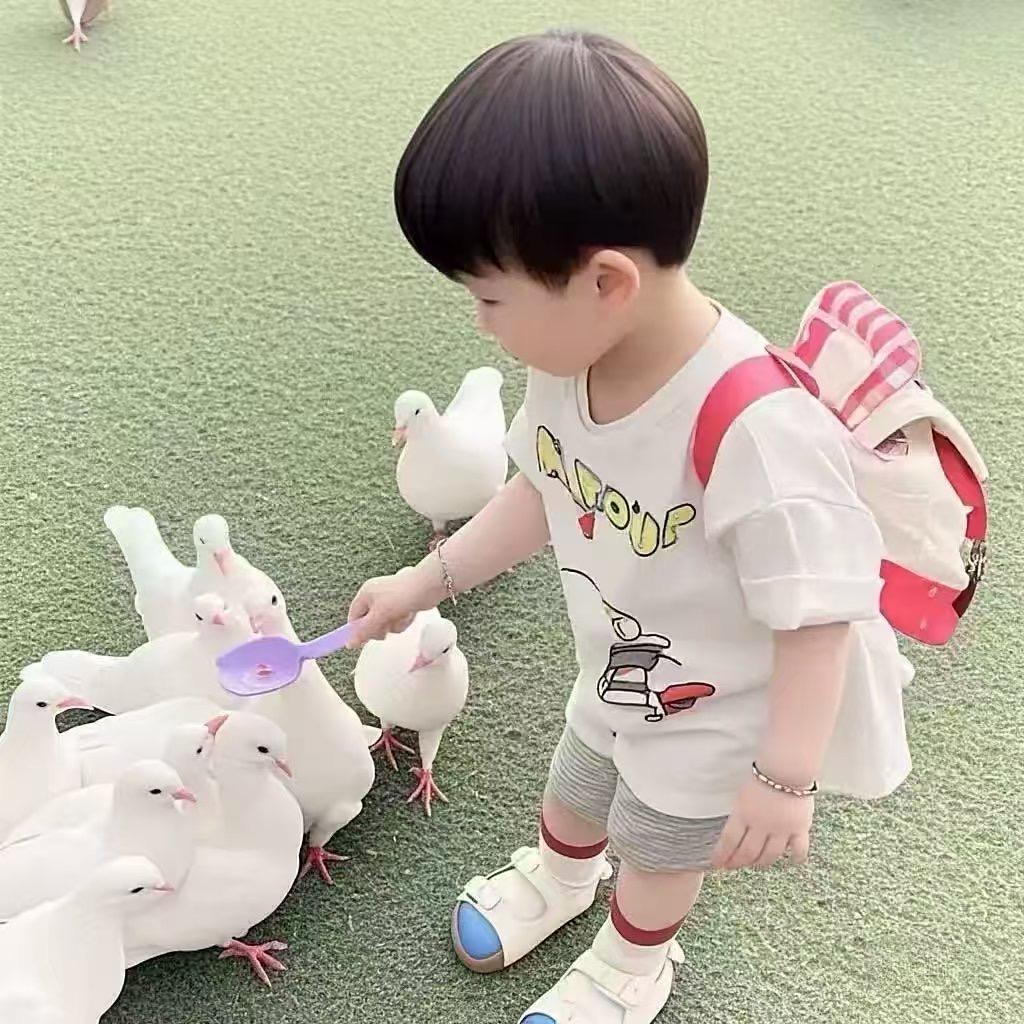 小瑞