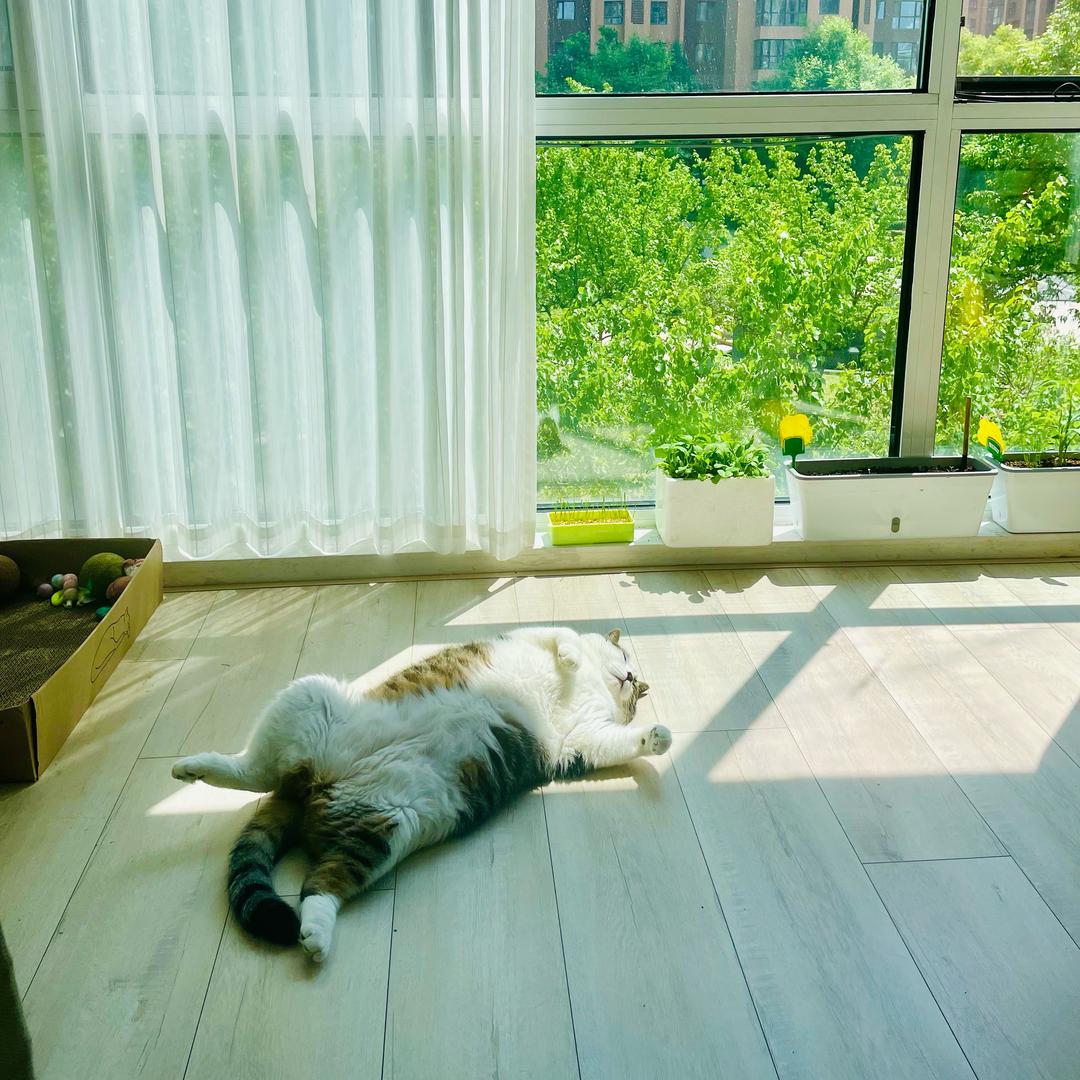 小和才露尖尖角