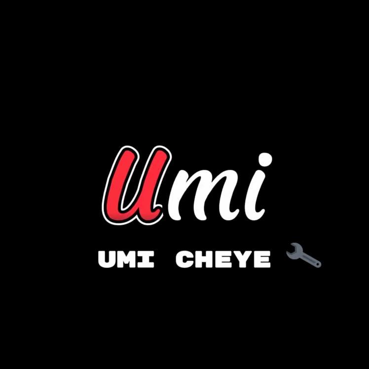 U MI车业