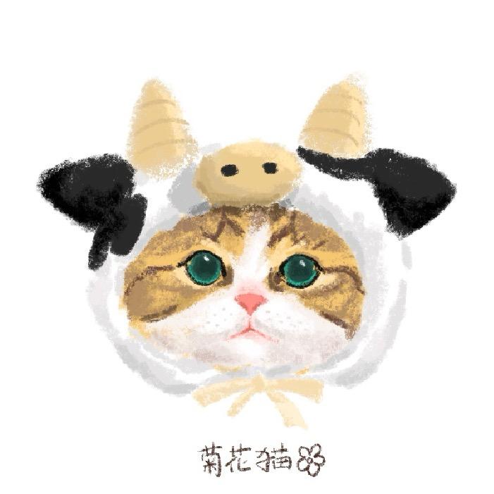 梦璐