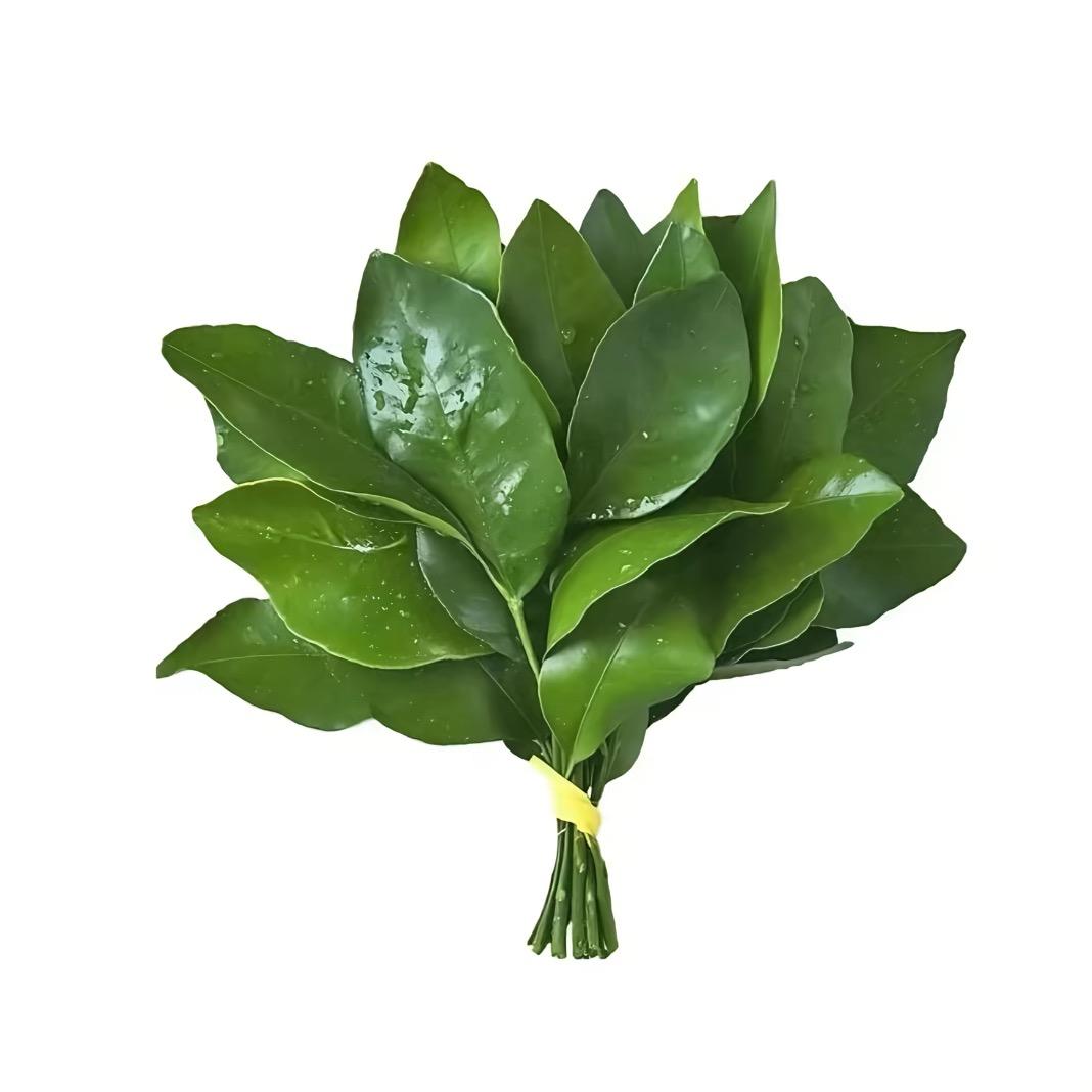 小锅巴