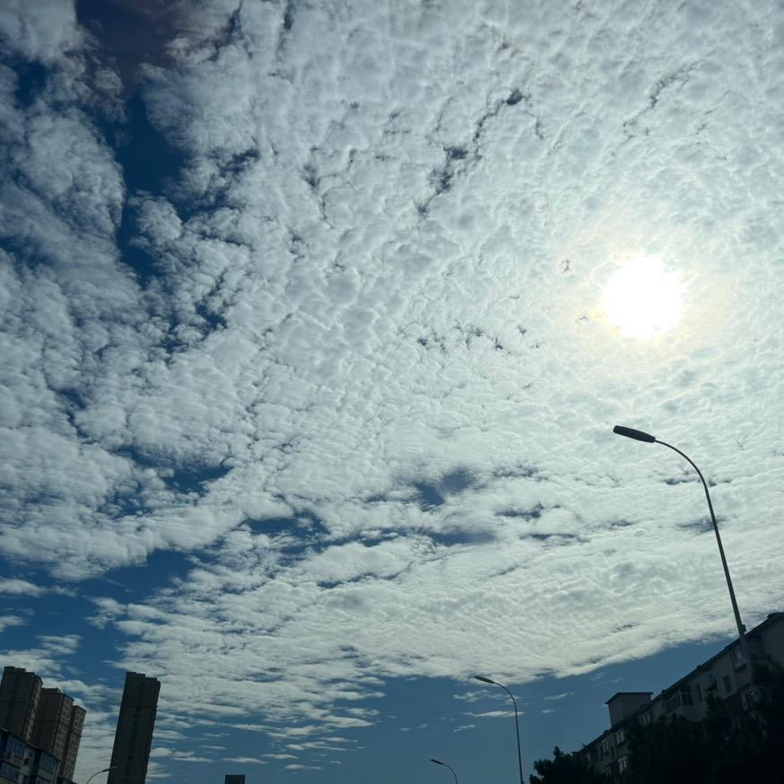 努力会让你变得更优秀