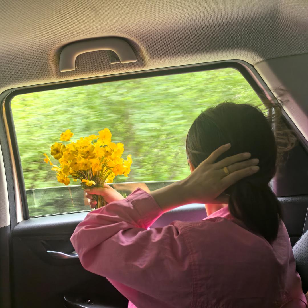 青措🌾