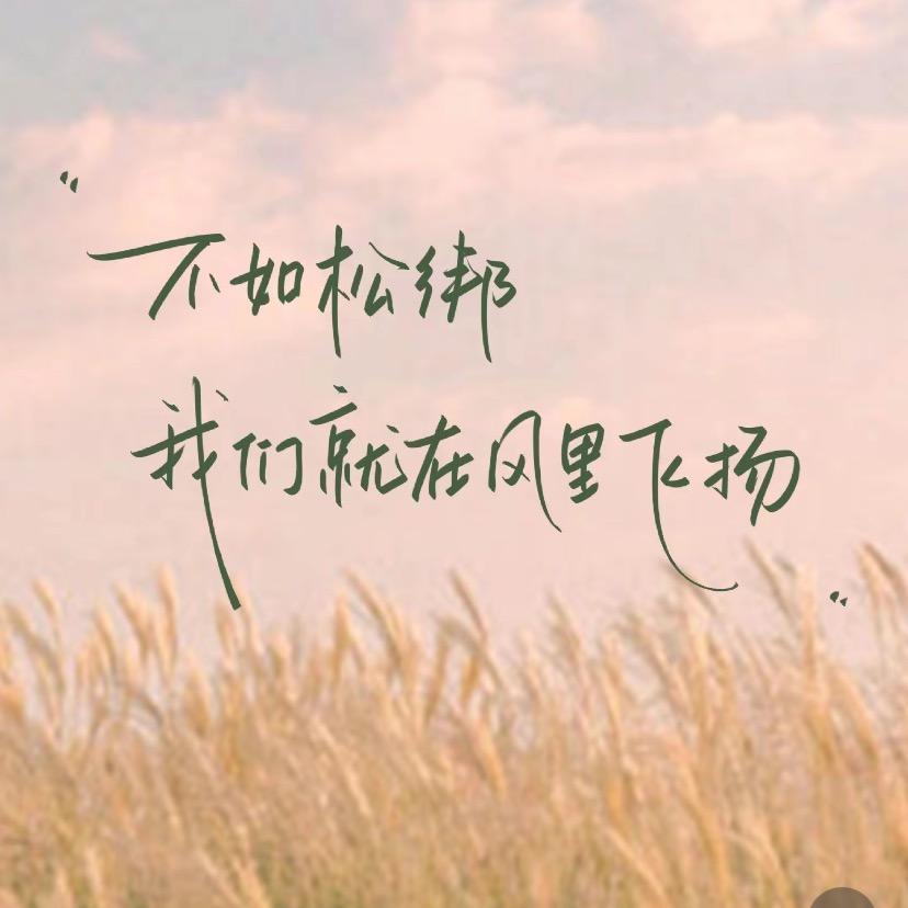 随风飞扬