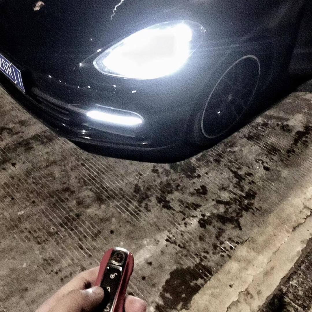 44294173254