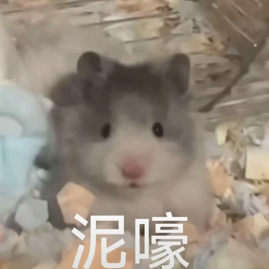 智慧橘子皮🍊✨
