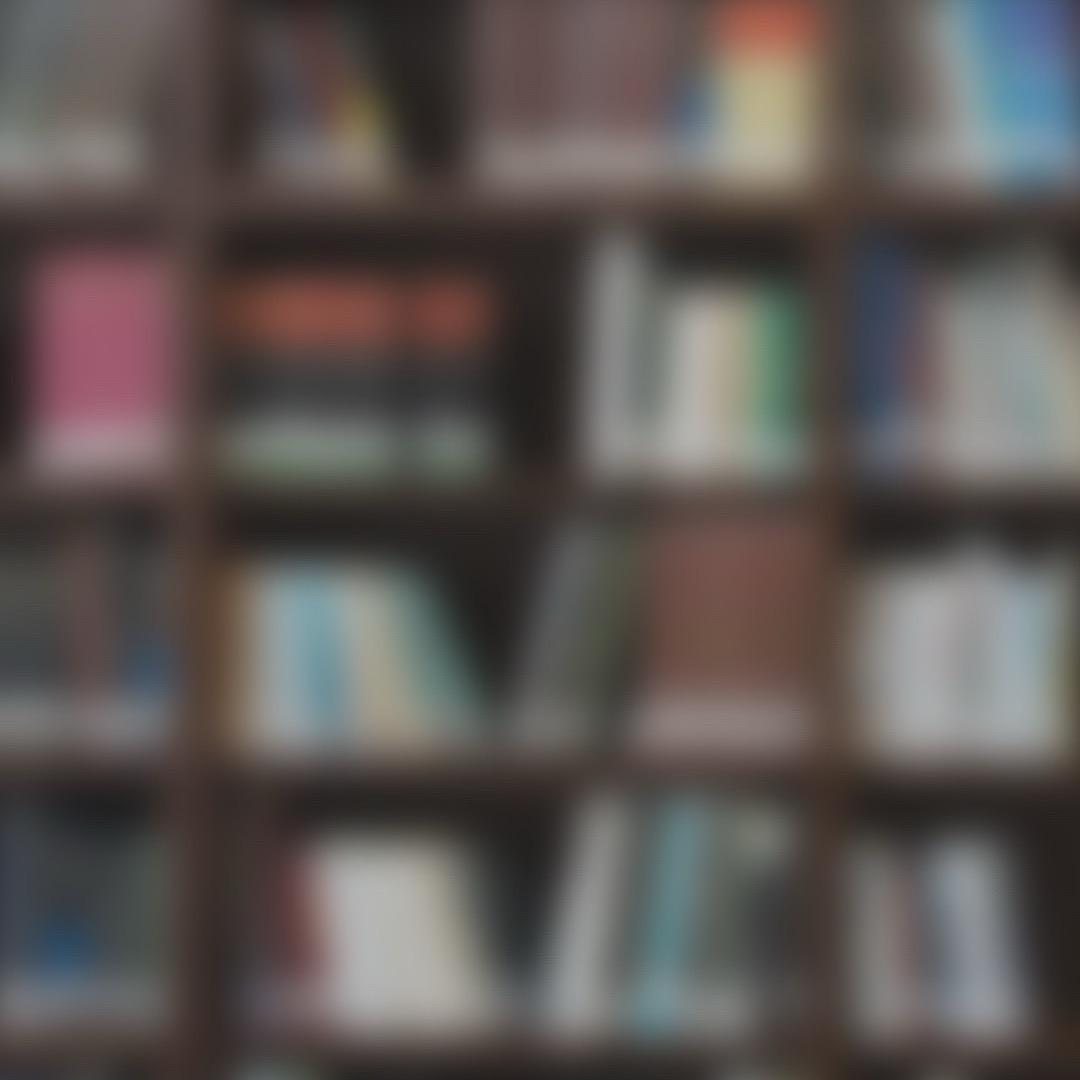 用户