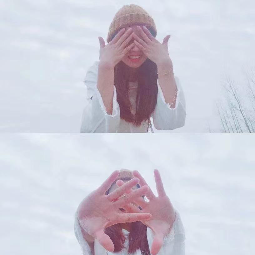 是蕊蕊吖（可接花单）