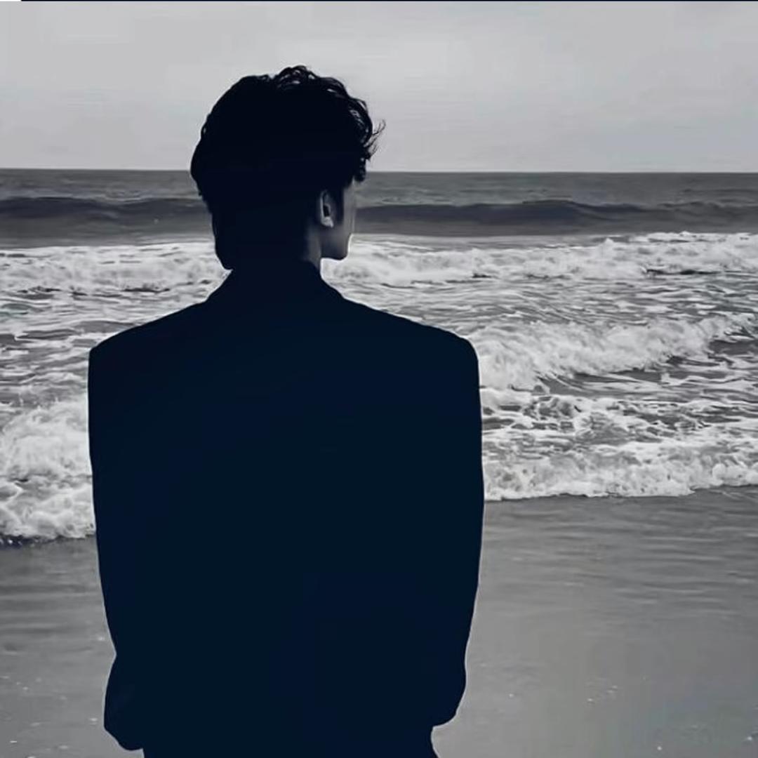 乌鸦坐飞机✈️