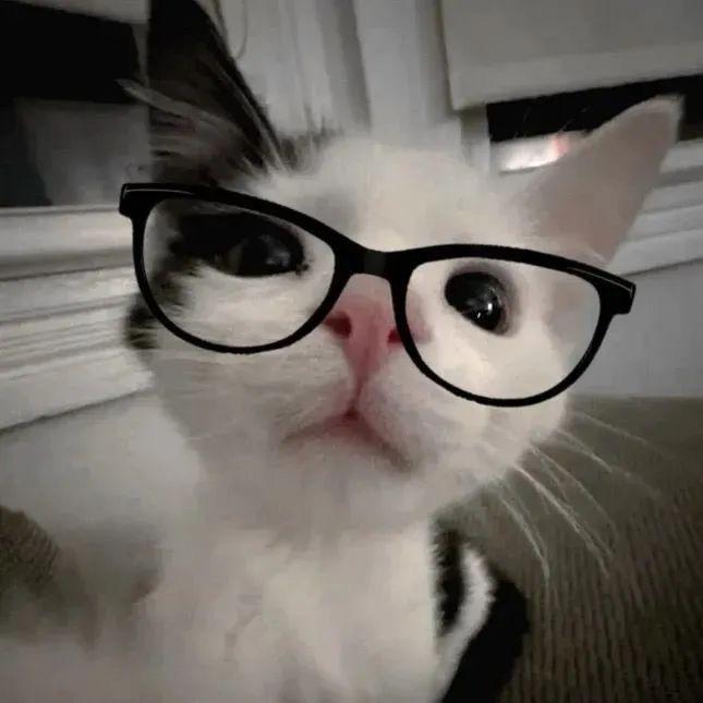 ·-·