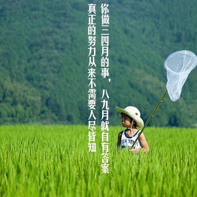 两只老虎