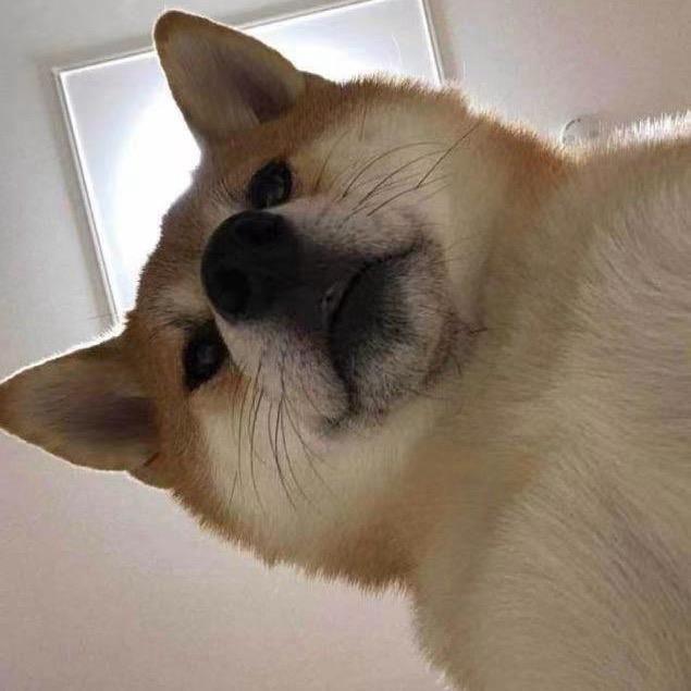 lvb